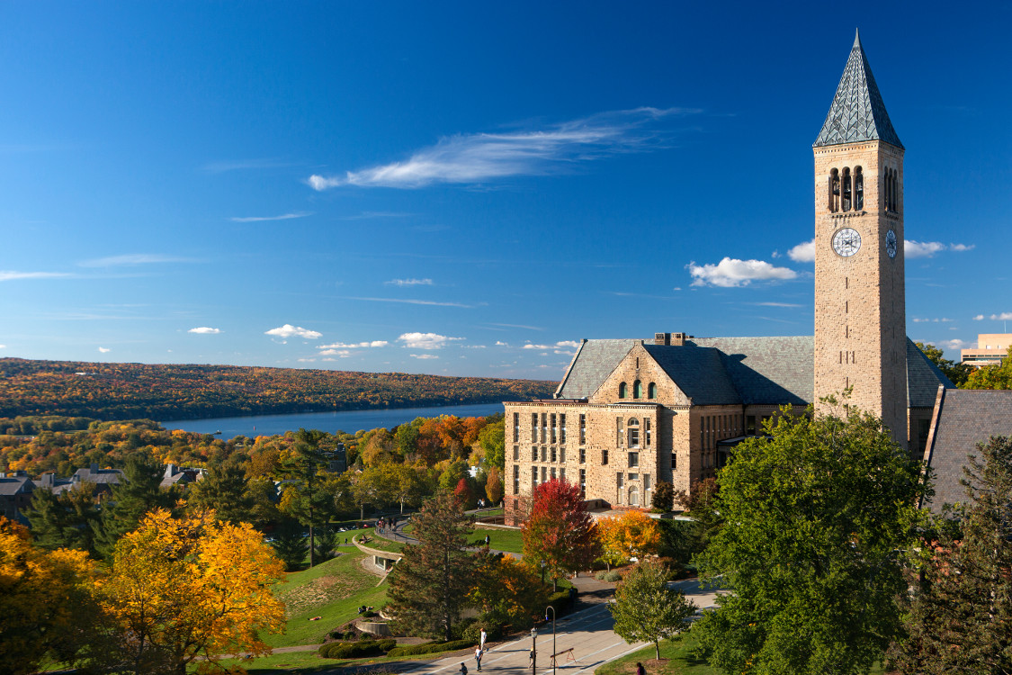 About the BofA Institute at Cornell Program