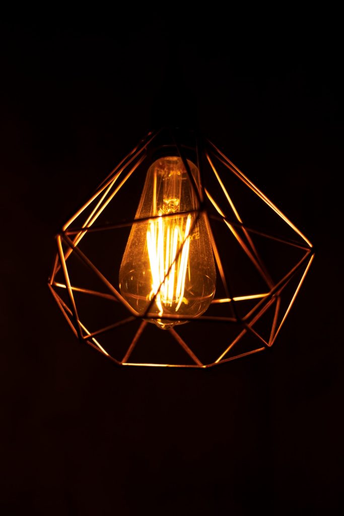 lightbulb in a gilded cage